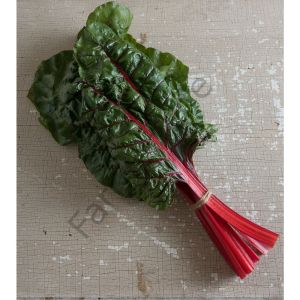 Rhubarb Supreme Pazı Fidesi 6 Adet