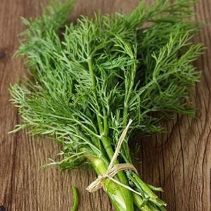 Dereotu Fidesi 12 Adet