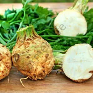 Yerli Kök Kereviz Fidesi 12 Adet