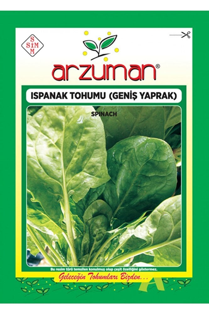 Geniş Yapraklı Ispanak Tohumu 25 gr