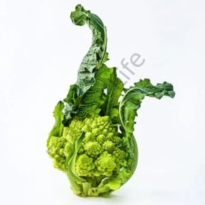 Piramit Karnabahar (Romanesco) Fidesi 6 Adet