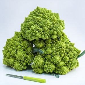 Piramit Karnabahar (Romanesco) Fidesi 6 Adet