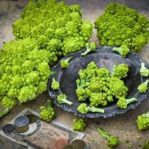 Piramit Karnabahar (Romanesco) Fidesi 6 Adet