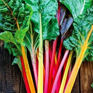 Karışık Renkli Pazı Fidesi 6 Adet