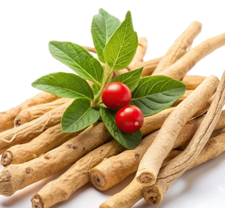 Ashwagandha bitkisi, kökeni Hindistan’a dayanan ve geleneksel Ayurvedik tıpta yüzyıllardır kullanılan önemli bir bitkidir. Özellikle stres yönetimi, enerji artışı ve genel sağlık üzerinde etkili olmasıyla bilinir. Satış uzmanı perspektifinden değerlendirildiğinde, ashwagandha ürünlerinin neden popüler olduğunu ve müşterilere nasıl fayda sağlayacağını anlamak, bu bitkinin satışını olumlu şekilde etkiler.
