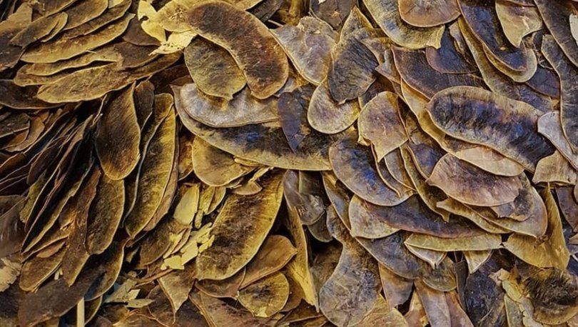 Açlık Otu Nedir, Zayıflatır Mı? Açlık Otu Faydaları ve Kullanımı