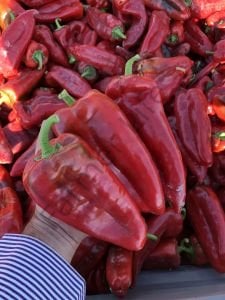 Kapya Biber Fidesi 6 Adet