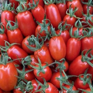 Kırmızı Şeker Domates Fidesi 6 Adet