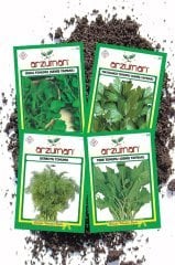 Tohum Seti ( Roka Maydanoz Dereotu Tere Toplam 100 gram )
