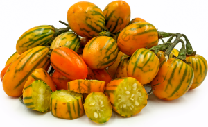 Togo Patlıcan Tohumu (10 Tohum)