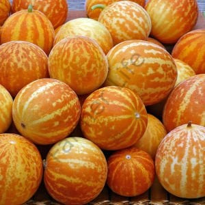 Plum Granny Parfüm Kavunu Tohumu (10 Tohum)