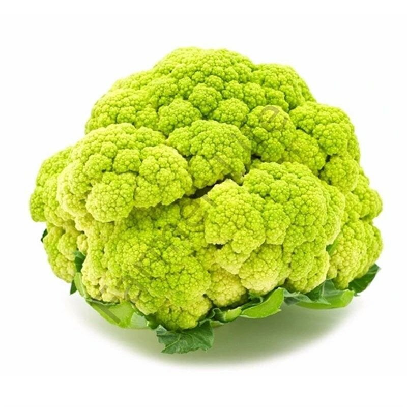 Yeşil Karnabahar Fidesi 6 Adet