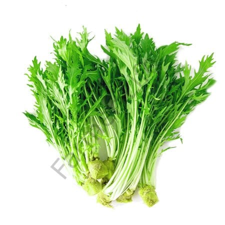 Mizuna Fidesi 6 Adet