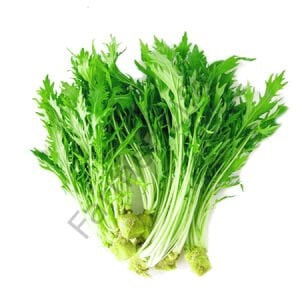 Mizuna Fidesi 6 Adet