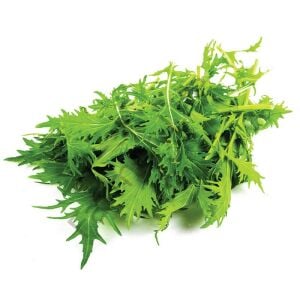 Mizuna Fidesi 6 Adet