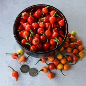 Biquinho Kaz Gagası Tatlı Kırmızı Biber (10 Tohum)