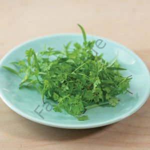 Organik Microgreen Yeşillik Frenk Maydanozu Tohumu 50 gr