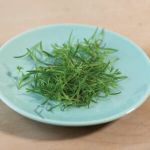 Organik Microgreen Yeşillik Havuç Tohumu 25 gr