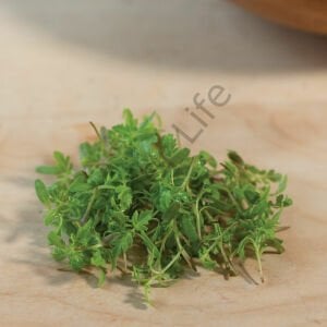 Organik Microgreen Yeşillik Kadife Tohumu 5 gr