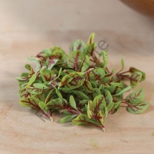 Organik Microgreen Kırmızı Kuzukulağı Tohumu (100 Adet)
