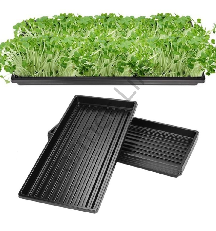 Microgreen, Mikro Yeşillik Yetiştirme Tepsisi 5 Adet