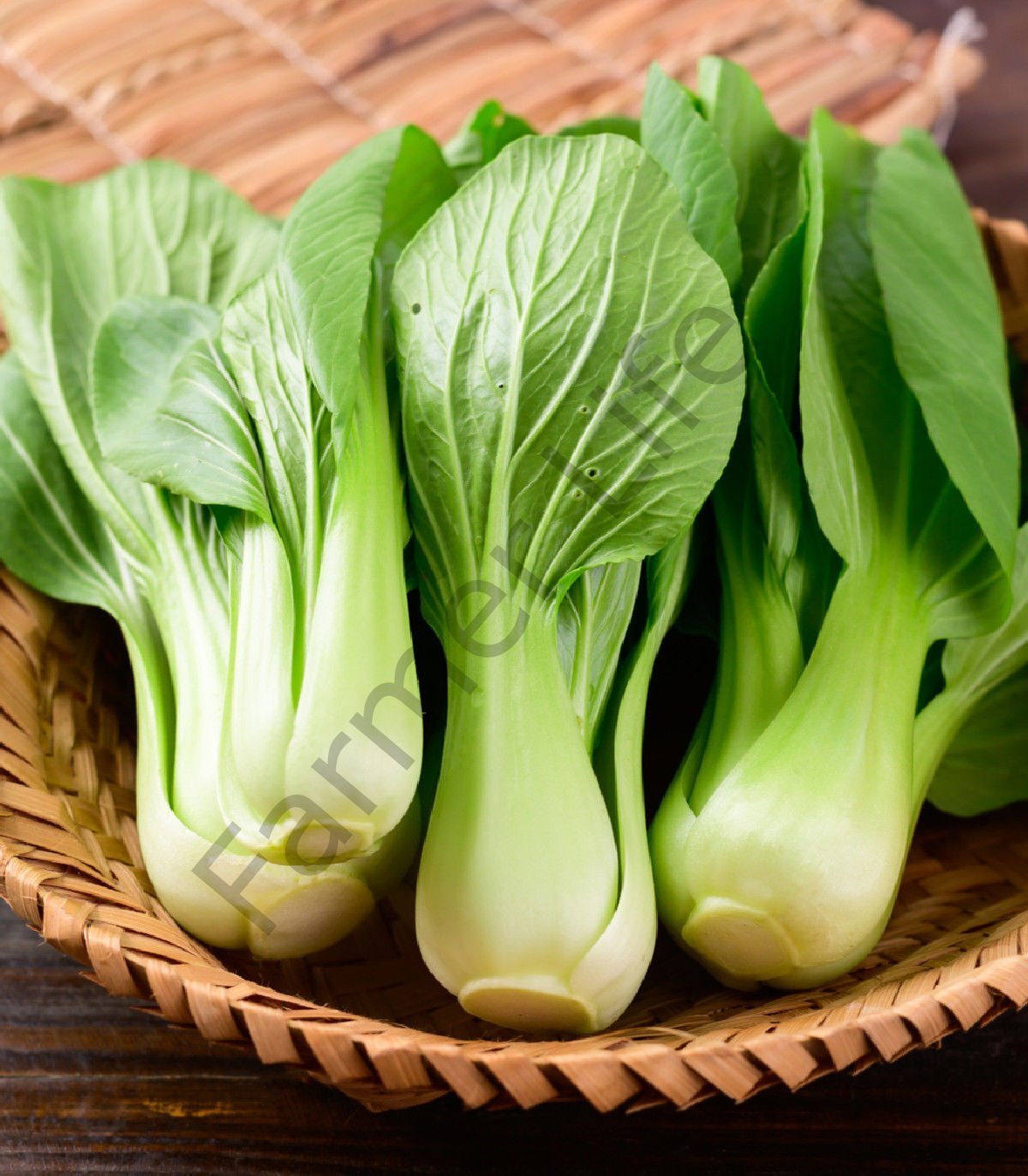 Pak Choi Bebek Çin Lahanası Fidesi 6 Adet