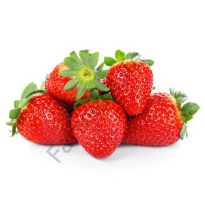 Tüplü Yediveren Albion Çilek Fidesi 12 Adet