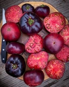 Blue Beauty Domates Fidesi 6 Adet