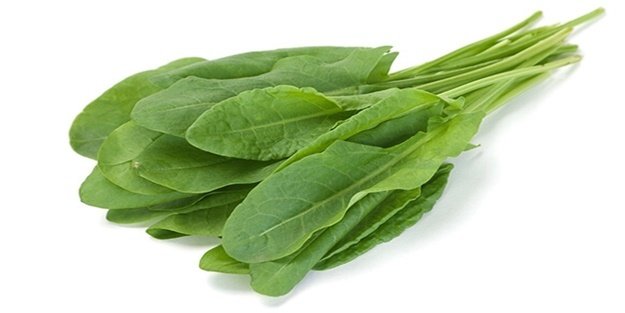 Kuzu Kulağı (Ekşi Otu) Tohumu (500 Tohum)