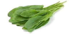 Kuzu Kulağı (Ekşi Otu) Tohumu (500 Tohum)