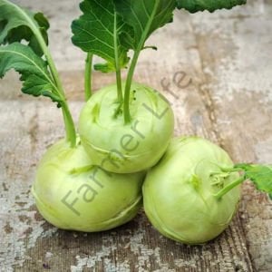 Alabaş (kohlrabi) Tohumu (200 Tohum)