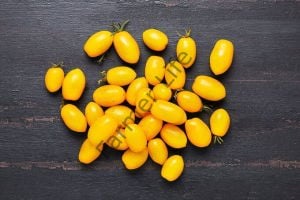 Sarı Şeker Domates Fidesi 6 Adet