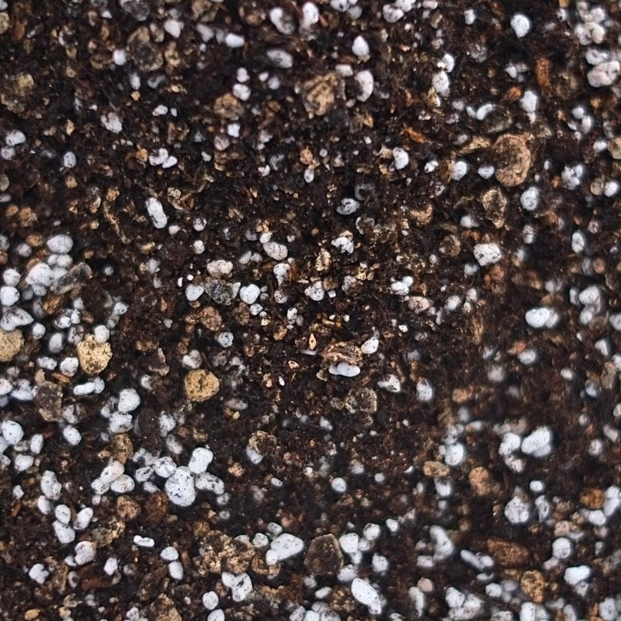 10 Lt Doğal Karışım Tohum Fide Çiçek Toprağı