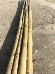 10 Adet Bambu Bitki Destek Çubuğu 150 cm