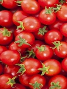 Kırmızı Saksılık Domates Tohumu (10 Tohum)