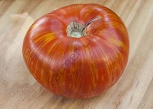 Solar Flare Domates Tohumu (10 Tohum)