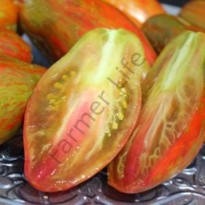 Cuban Salami Domates Tohumu (10 Tohum)