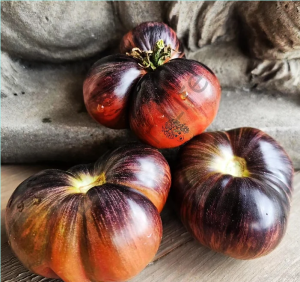 Marsha\'s Starfighter Domates Tohumu (10 Tohum)