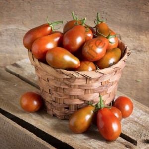 Çikolata Ampul Domates Tohumu (10 Tohum)