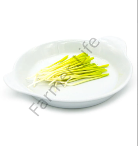 Microgreen Yeşillik Patlamış Mısır Tohumu 25 gr