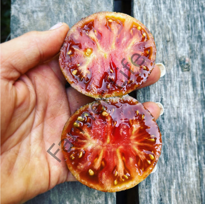 Marsha's Starfighter Domates Fidesi 6 Adet