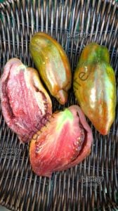 Cuban Salami Domates Fidesi 6 adet