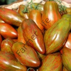 Cuban Salami Domates Fidesi 6 adet