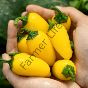 Lemon Spice Biber Fidesi 6 Adet