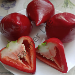 Lesya Kalp Biber Fidesi 6 Adet