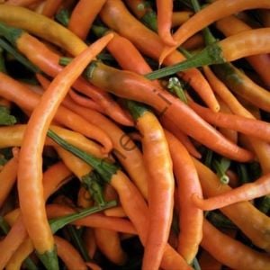 Killian Biber Fidesi 6 Adet