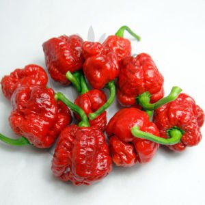 Trinidad Moruga Scorpion Biber Tohumu (5 Tohum)
