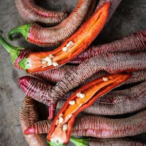 Makedonya Biberi Fidesi 6 Adet