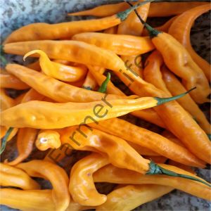 Aji Guyana Biber Fidesi 6 Adet