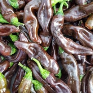 Enhiopian Brown Biber Fidesi 6 Adet